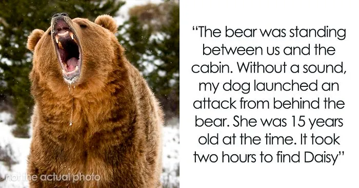 Someone Asks Whether Dog Owners Would Give 5 Years Of Their Life To Their Dog, And This Reply Goes Viral