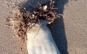40 Times People Had No Idea What They Were Looking At, But The Internet Knew What It Was Right Away