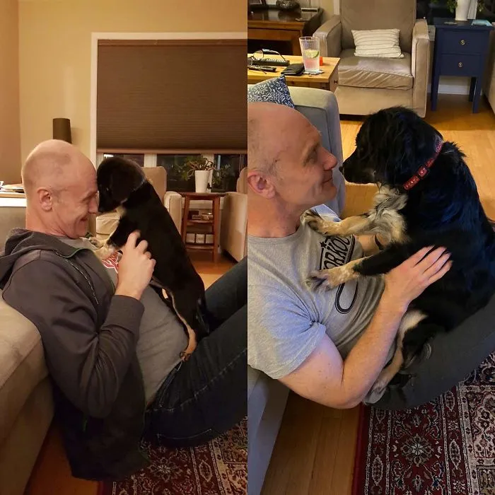 This Good Boi Showed Up One Year Ago Tonight. He Rescued Us As Much As He Was Rescued
