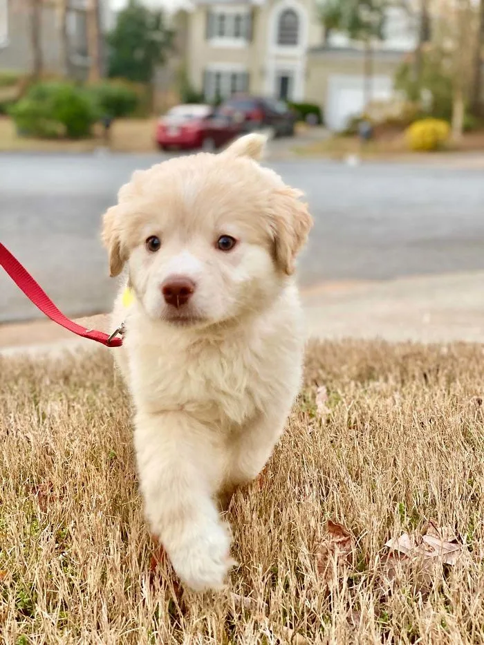 Can’t Have Kids, So I Adopted