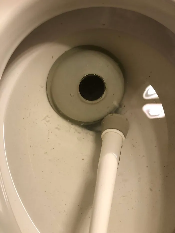 Día 2 y mi hijo ha atascado el retrete. Y luego ha pasado esto