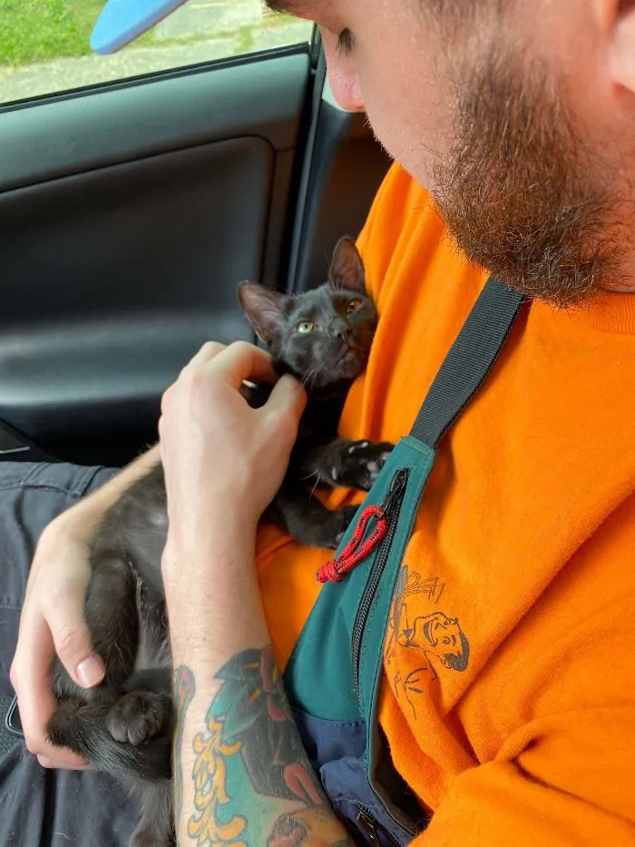 Lots Of Strange Things Happening In The World Lately. Adopted This Rescue Kitty Today To Help Make Both Our Lives Better