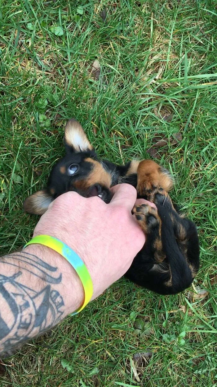 Lilith, recién adoptada, hoy ha salido fuera a jugar por 1ª vez