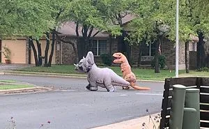 35 People Who Are Beyond Bored While Having To Stay At Home