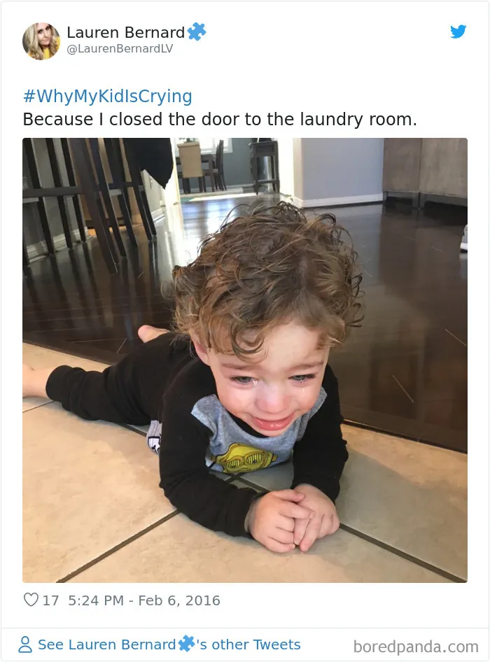 30 Of The Funniest #WhyMyKidIsCrying Tweets (New Pics)