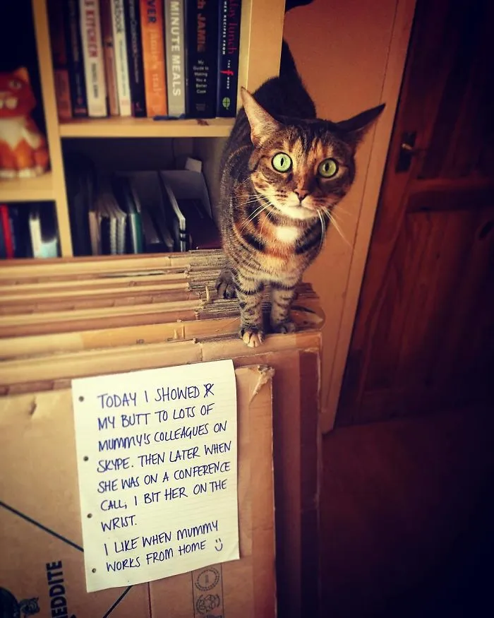 Next Time, Pay Attention To Me