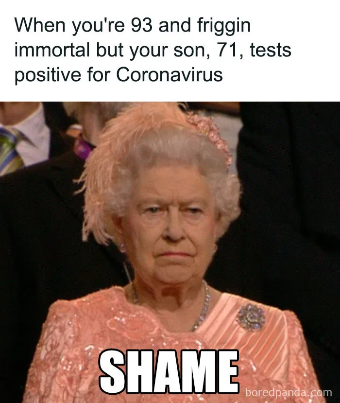 Celebrities Have Never Been More Annoying: People Are Roasting Their Quarantine Content With Memes (27 Pics)