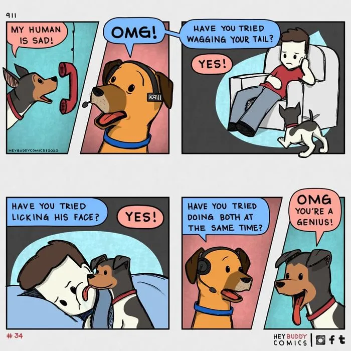 Here Are My Comics Inspired By My Dog That Most Dog Owners May Relate To (13 New Pics)