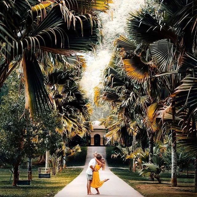 Royal Botanical Gardens, Peradeniya