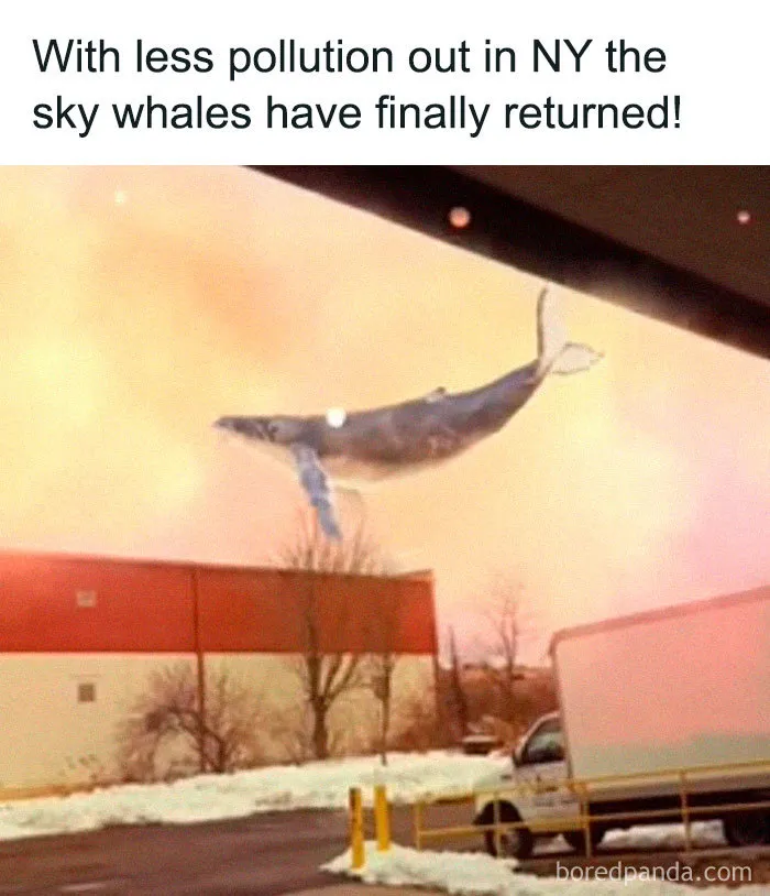 Finally