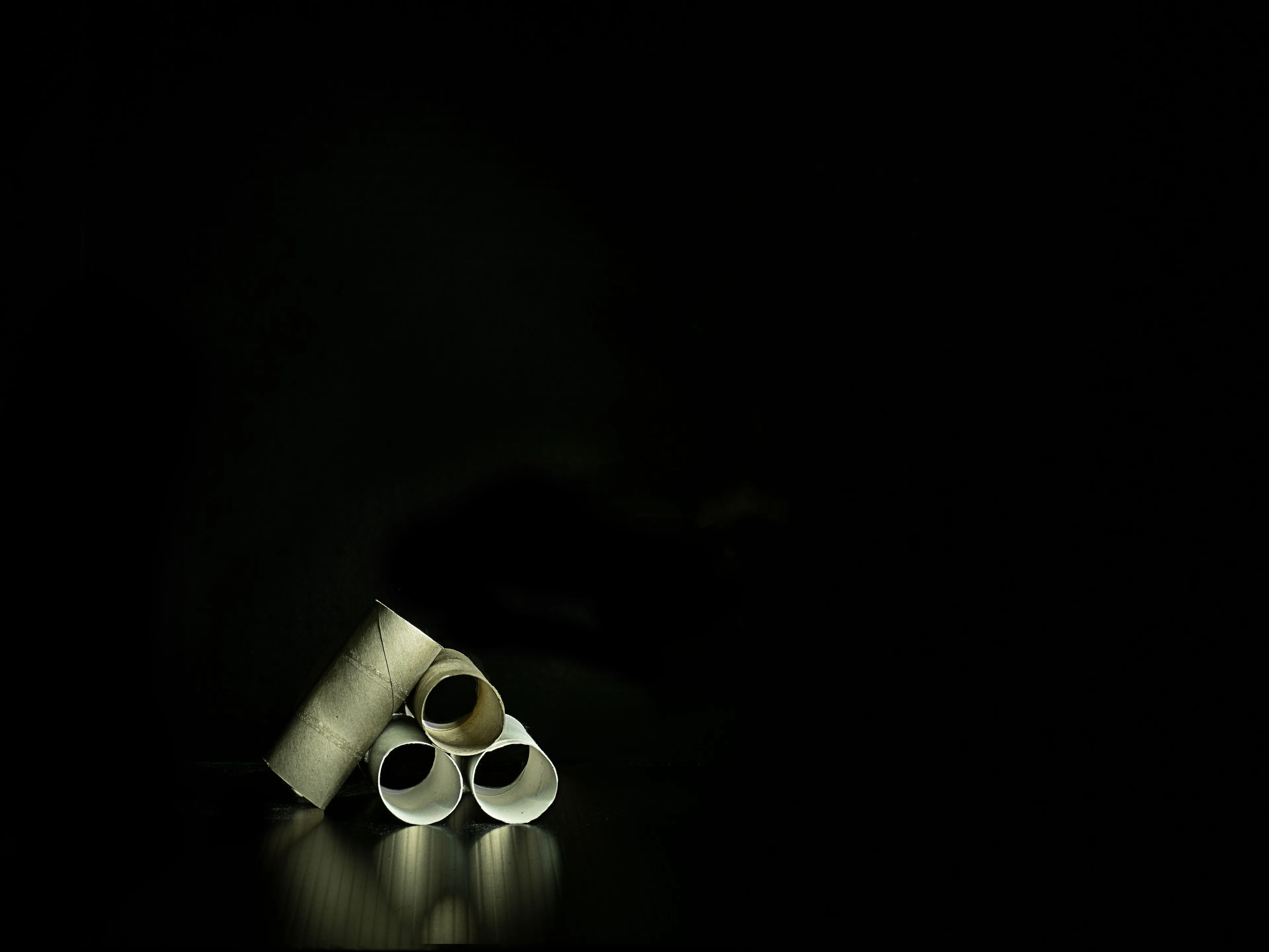 Artist In Residence: A Pandemic Series About Toilet Paper