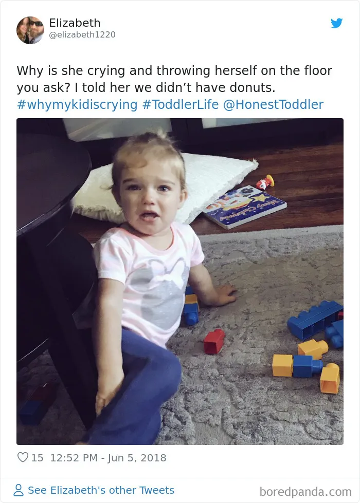 30 Of The Funniest #WhyMyKidIsCrying Tweets (New Pics)