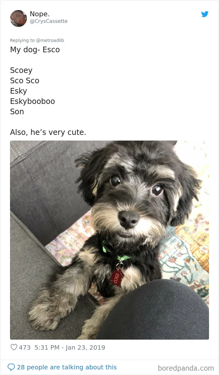 People Are Sharing The Hilarious Names They Now Call Their Pets Instead Of Their Original Ones (New Pics)