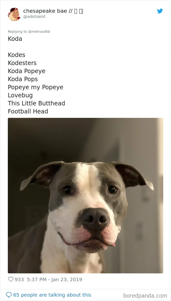 People Are Sharing The Hilarious Names They Now Call Their Pets Instead Of Their Original Ones (New Pics)