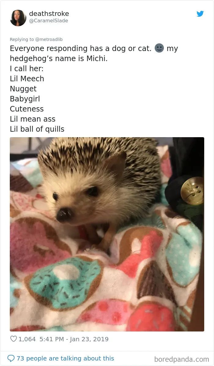 People Are Sharing The Hilarious Names They Now Call Their Pets Instead Of Their Original Ones (New Pics)