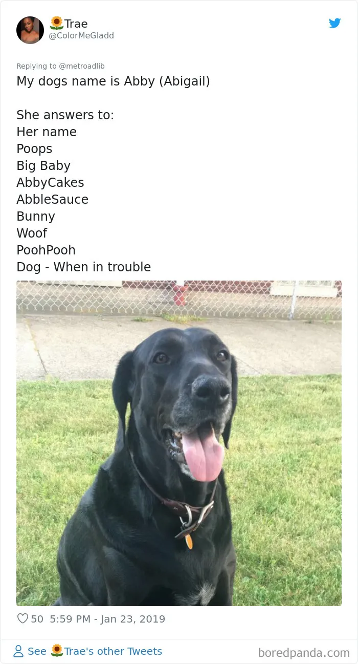 People Are Sharing The Hilarious Names They Now Call Their Pets Instead Of Their Original Ones (New Pics)