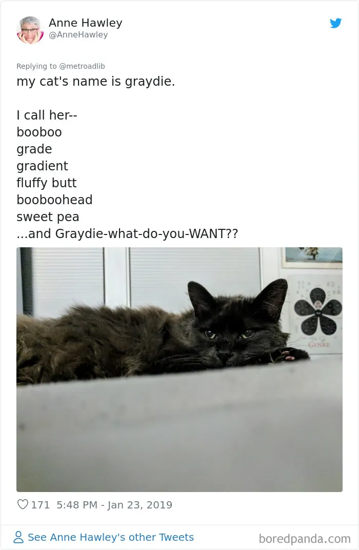 People Are Sharing The Hilarious Names They Now Call Their Pets Instead Of Their Original Ones (New Pics)