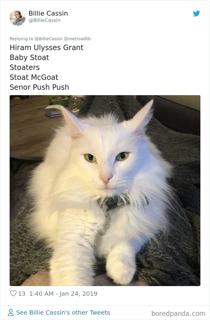 People Are Sharing The Hilarious Names They Now Call Their Pets Instead Of Their Original Ones (New Pics)