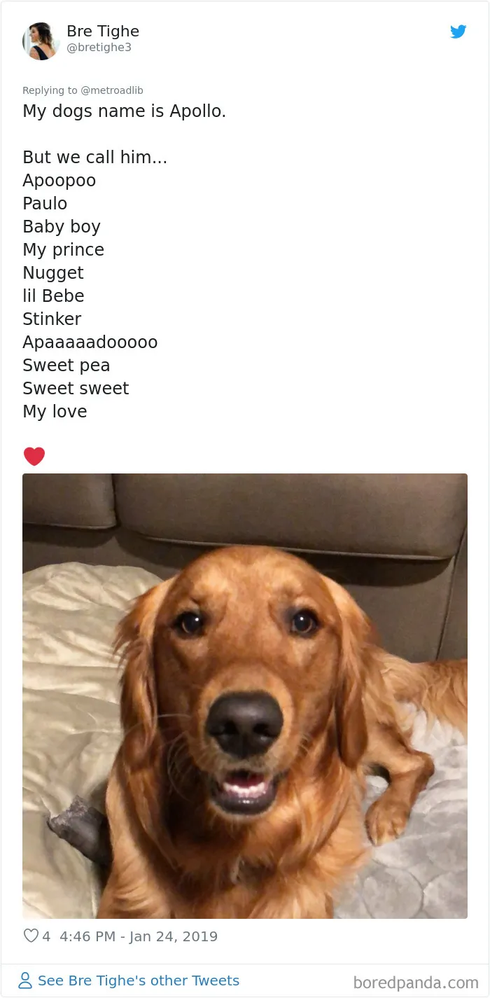 People Are Sharing The Hilarious Names They Now Call Their Pets Instead Of Their Original Ones (New Pics)