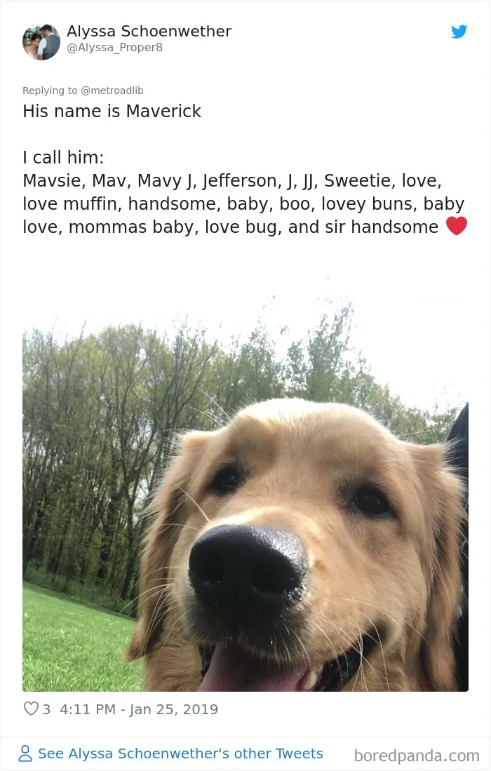People Are Sharing The Hilarious Names They Now Call Their Pets Instead Of Their Original Ones (New Pics)