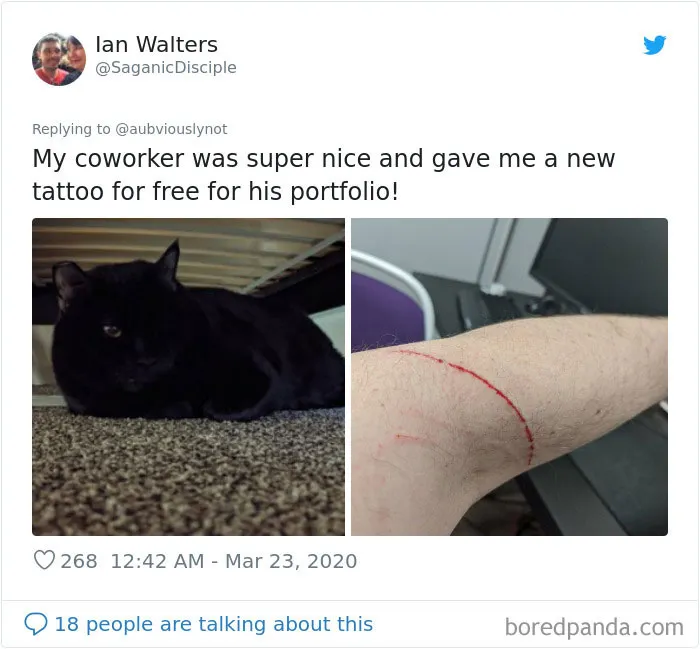 30 Funny "Co-Worker" Updates From People Working From Home