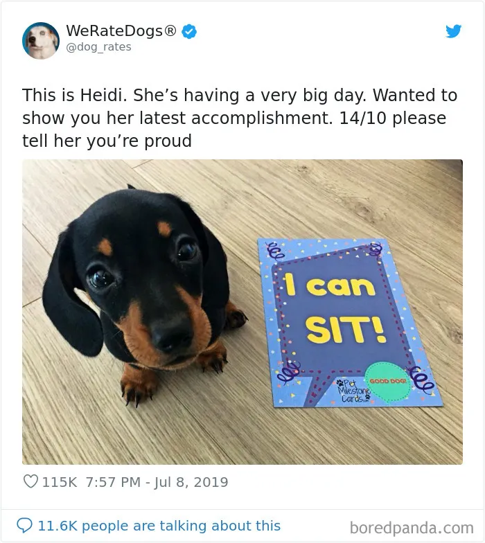 We Rate Dogs