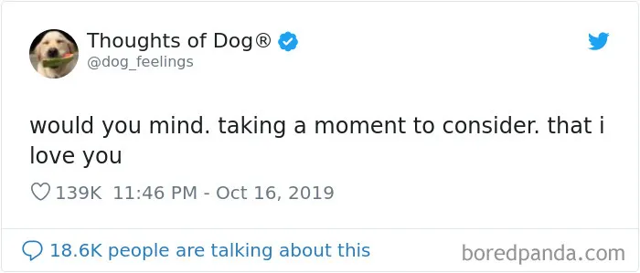 30 Of The Funniest Dog Thoughts That Dog Owners Understand Too Well (New Pics)