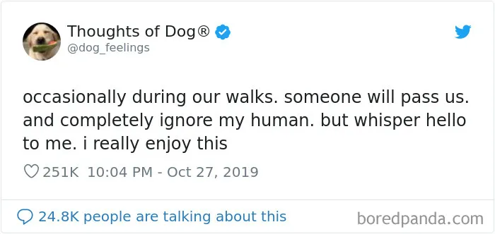 30 Of The Funniest Dog Thoughts That Dog Owners Understand Too Well (New Pics)