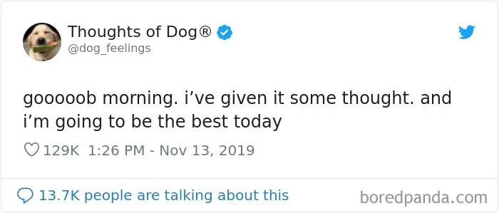 30 Of The Funniest Dog Thoughts That Dog Owners Understand Too Well (New Pics)