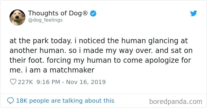 30 Of The Funniest Dog Thoughts That Dog Owners Understand Too Well (New Pics)