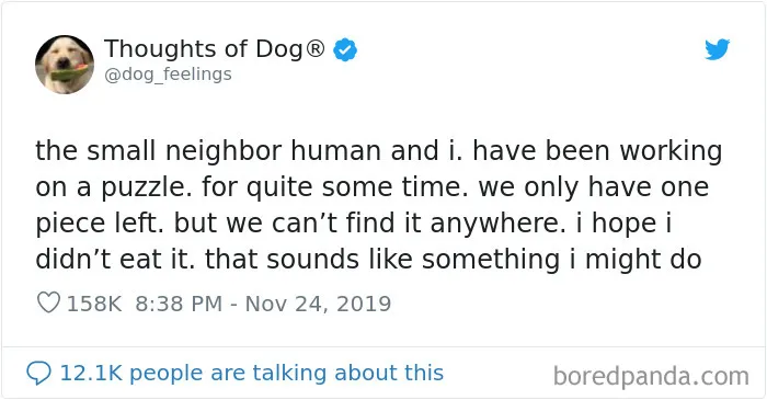 30 Of The Funniest Dog Thoughts That Dog Owners Understand Too Well (New Pics)
