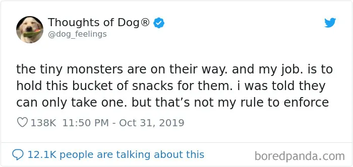 30 Of The Funniest Dog Thoughts That Dog Owners Understand Too Well (New Pics)