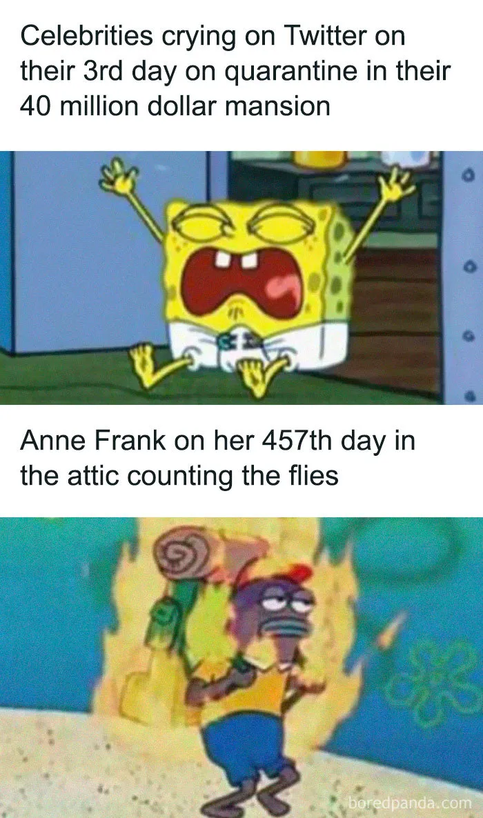 Celebrities Have Never Been More Annoying: People Are Roasting Their Quarantine Content With Memes (27 Pics)