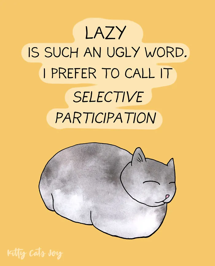 12 Quotes About Everyday Life Shown By My Cat Illustrations