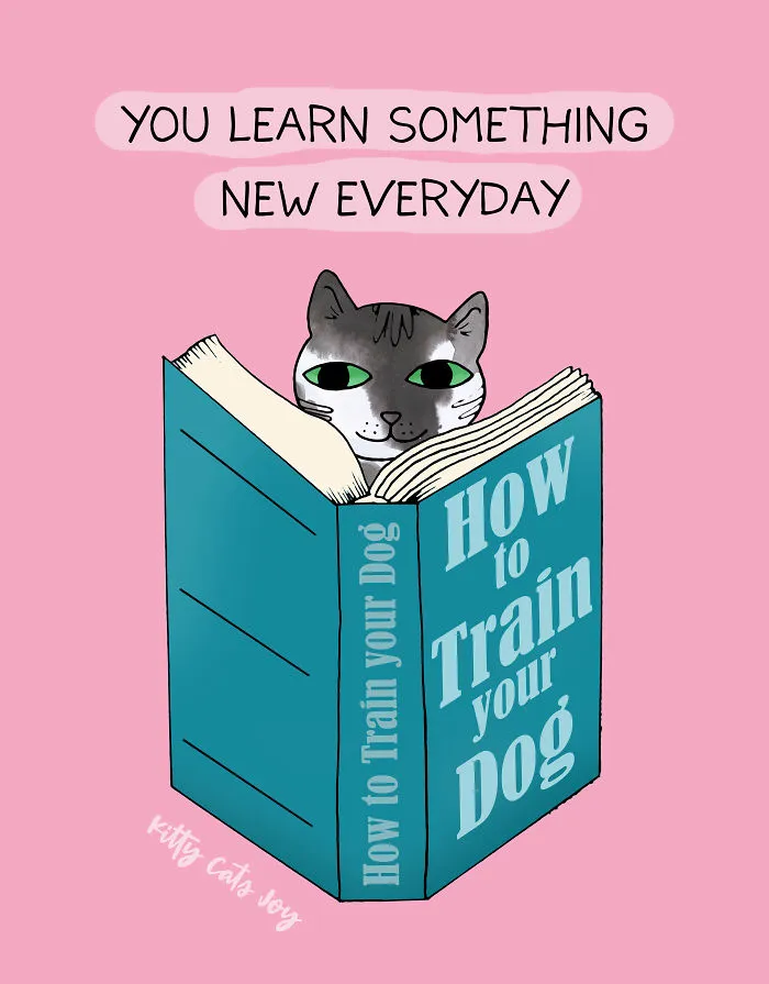 12 Quotes About Everyday Life Shown By My Cat Illustrations