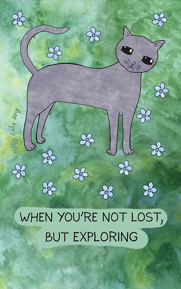 12 Quotes About Everyday Life Shown By My Cat Illustrations