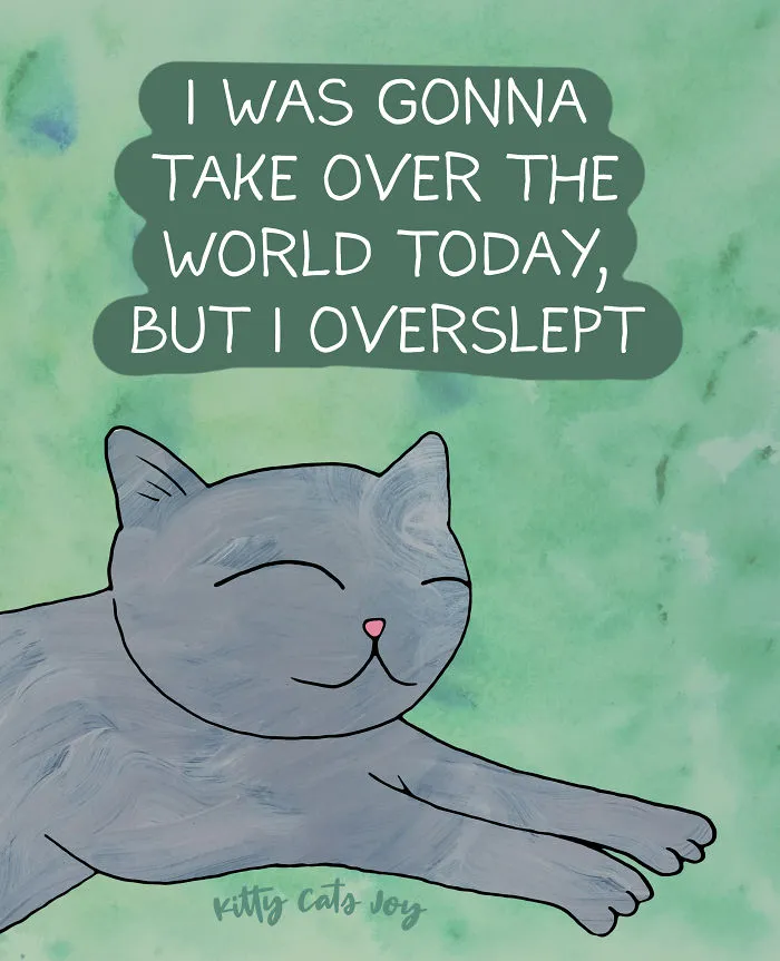 12 Quotes About Everyday Life Shown By My Cat Illustrations