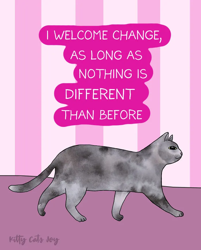 12 Quotes About Everyday Life Shown By My Cat Illustrations
