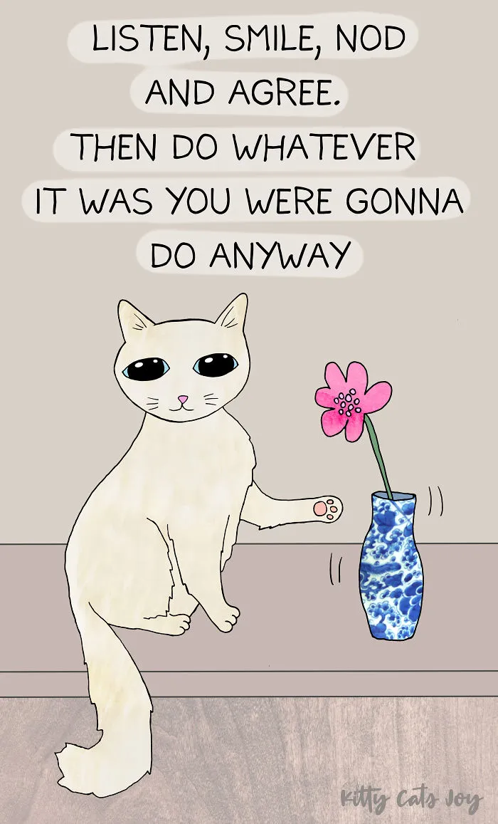 12 Quotes About Everyday Life Shown By My Cat Illustrations