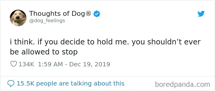 30 Of The Funniest Dog Thoughts That Dog Owners Understand Too Well (New Pics)