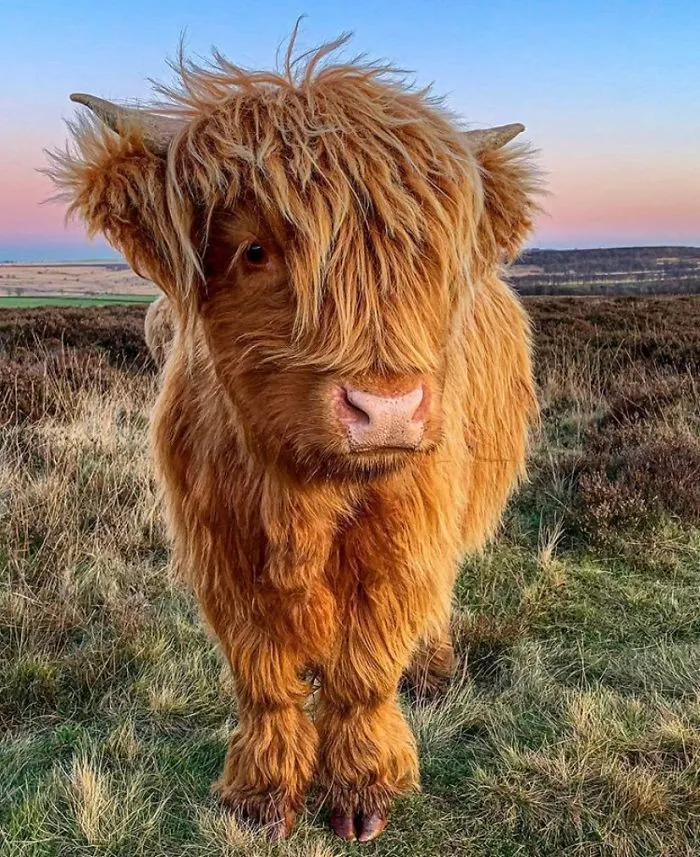 21st December 2019