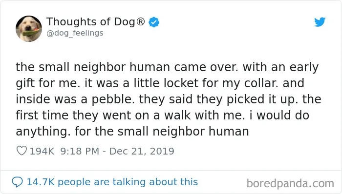 30 Of The Funniest Dog Thoughts That Dog Owners Understand Too Well (New Pics)