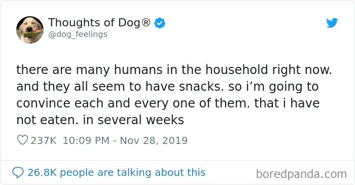 30 Of The Funniest Dog Thoughts That Dog Owners Understand Too Well (New Pics)