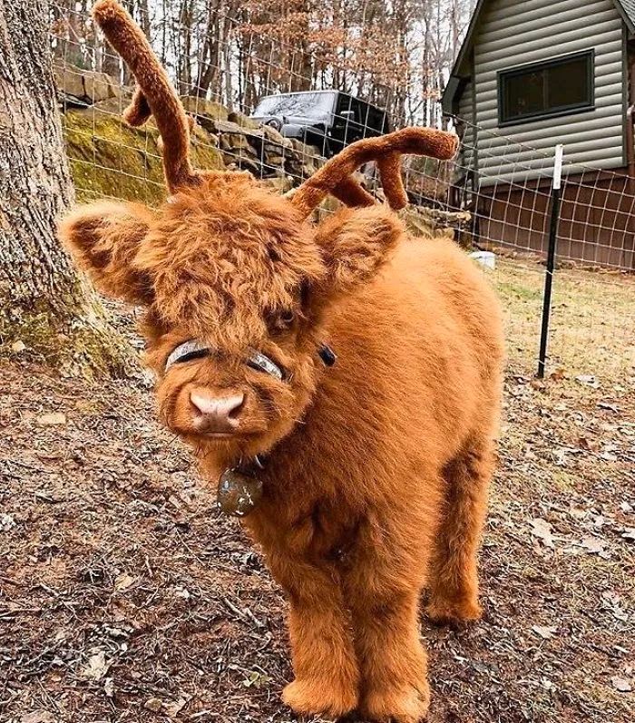 2nd December 2019