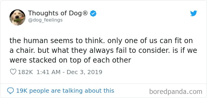 30 Of The Funniest Dog Thoughts That Dog Owners Understand Too Well (New Pics)