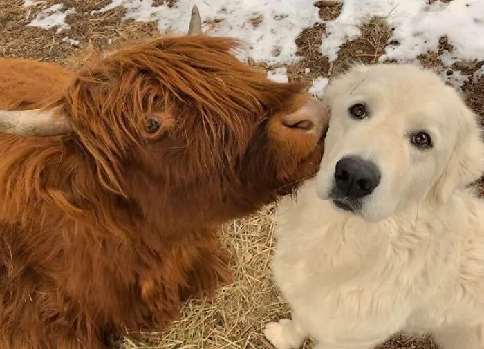 4th December 2019