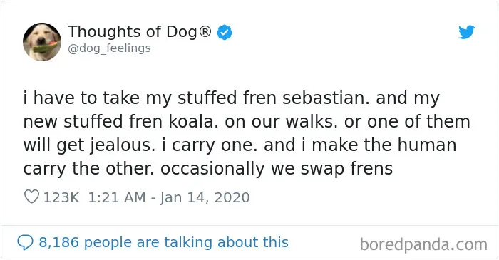 30 Of The Funniest Dog Thoughts That Dog Owners Understand Too Well (New Pics)