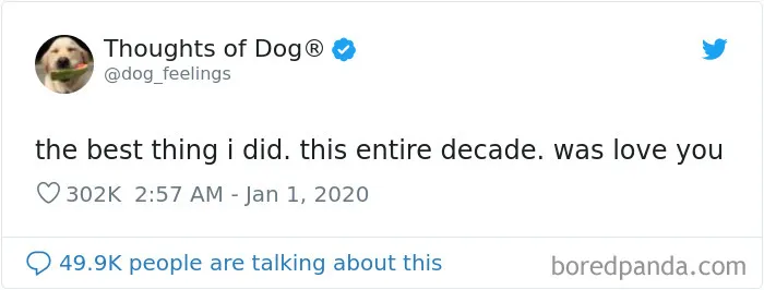 30 Of The Funniest Dog Thoughts That Dog Owners Understand Too Well (New Pics)