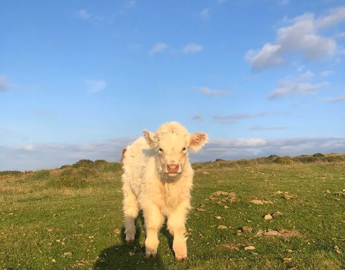 5th January 2020  Hugo