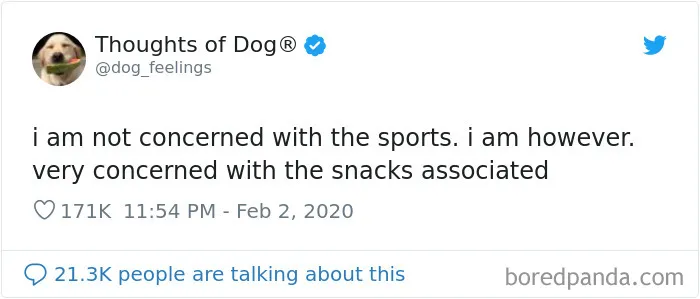 30 Of The Funniest Dog Thoughts That Dog Owners Understand Too Well (New Pics)